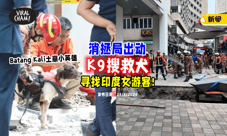 【小英雄出动了❗】消拯局再派出「K9搜救犬⚡」寻找坠坑印度女游客！