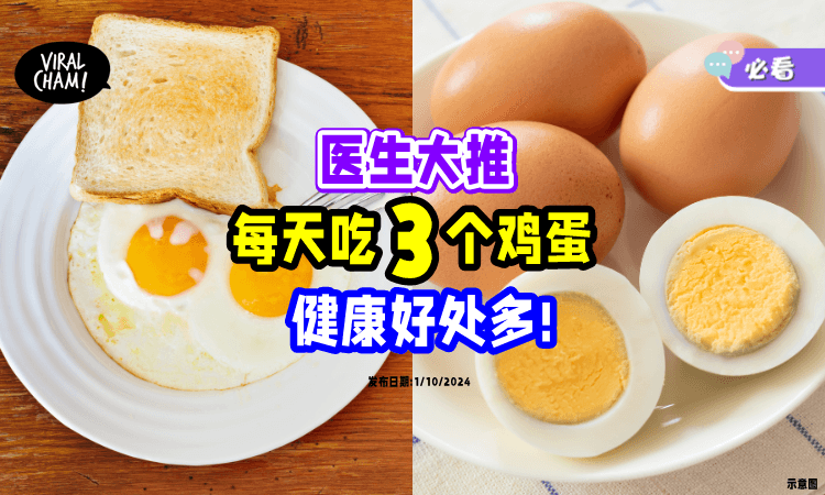 【打破迷思】每天吃「3个鸡蛋」不算多🥚 医生赞赏：有3大好处❗