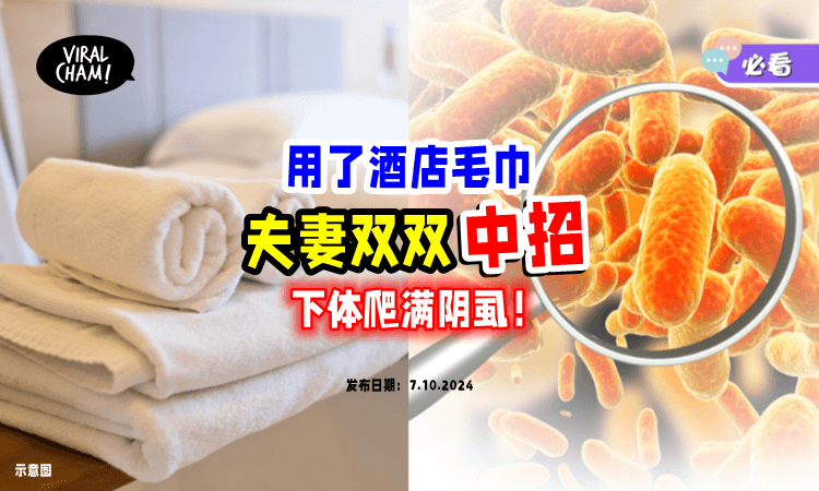 【最好别用❌】夫妻俩用了「Hotel毛巾」竟感染性病😱 下体爬满小虫！