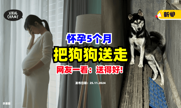【网友刚想开骂❗️】5个月孕妈Beh tahan「把狗送给家婆养⚡」照片曝光后：也不是不能理解…
