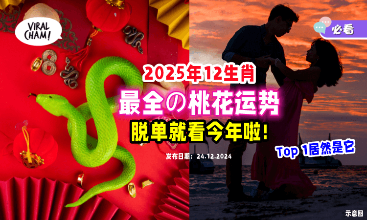 【准备好脱单😍】2025年12生肖「最全の桃花运势❤️」爱情大丰收的居然是它！