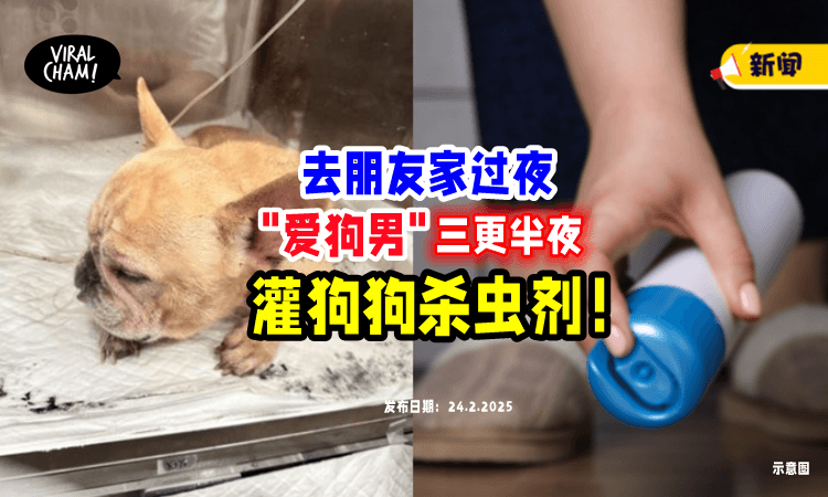 【去朋友家过夜❗️】“爱狗男”趁主人睡觉「灌狗狗喝杀虫剂⚡」还坐着看它痛苦挣扎！