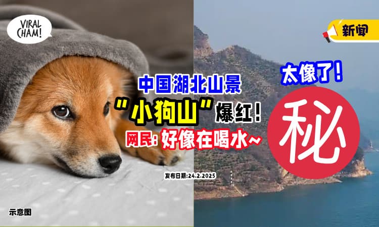 【大自然的鬼斧神工🐕】中国湖北「小狗山」爆红🏔 网民 : 它好像在喝水！