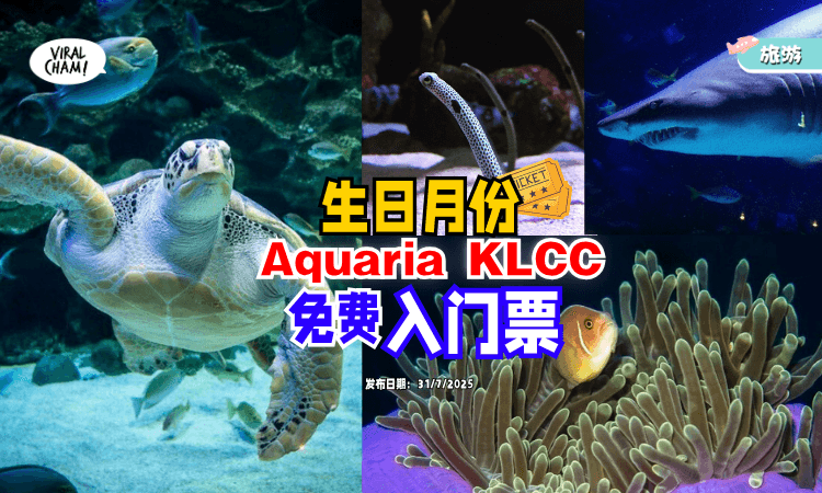 【Birthday专属福利❗】8月份开始「寿星免费入场✨」Aquaria KLCC！不用钱就能“潜入”海底世界~