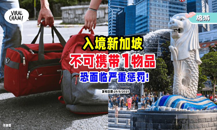 【旅新访客注意❗】禁止携带「1物品」入境新加坡⚡ 重犯将驱逐出境或其他严厉后果!
