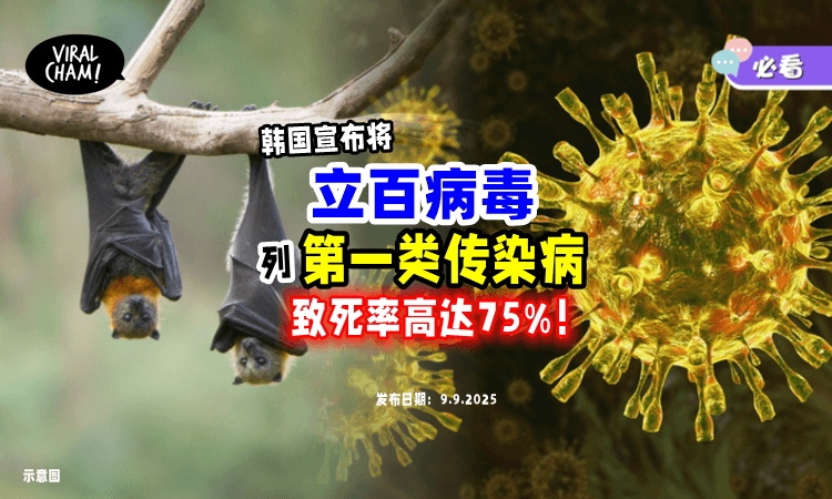 【致死率达75%❗️】韩国将「立百病毒」列为一级传染病⚡ 来看看有哪些感染症状！