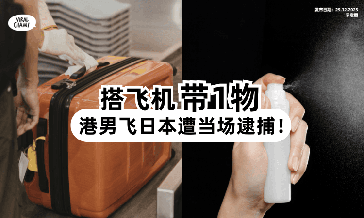 【搭飞机去日本❗️】男子因携带「1物品」遭当场逮捕⚡ 港警：最高可判监5年！