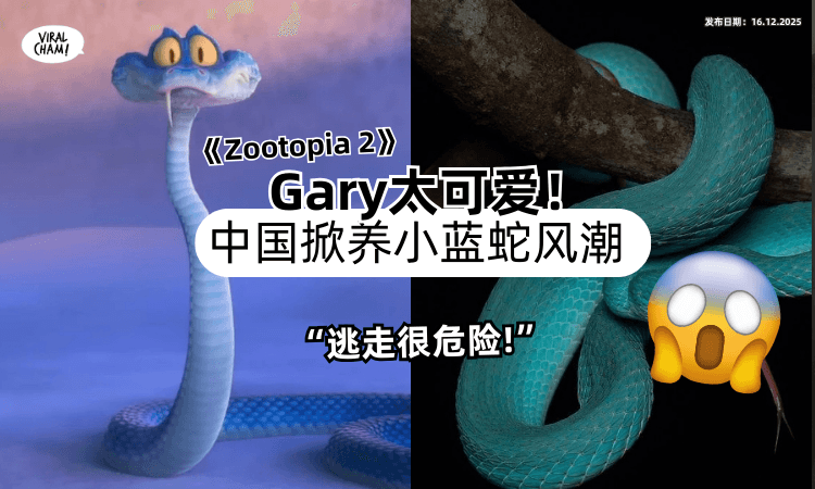 【Gary很可爱❗】《Zootopia 2》在中国掀起「养小蓝蛇」风潮⚡ 官媒示警 : 逃走很危险！