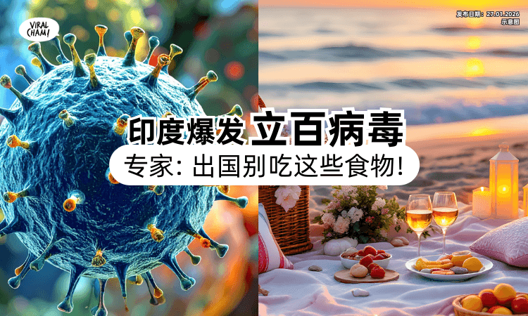 【疫情持续扩散❗】印度爆发立百病毒⚡ 出国避免食用「这个食物」恐是传染媒介！