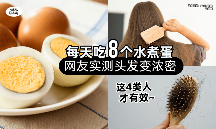 【网友实测❗】每天吃「8个水煮蛋」头发竟变浓密⚡ 医生 : 这4类人才有效！
