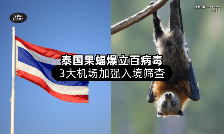 【旅泰小心❗】泰国果蝠检测出「立百病毒⚡」3大机场加强入境筛查！