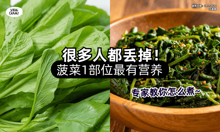 【很多人都丢掉❗】中医师提醒「菠菜1部位」最有营养✨ 专家教你怎么煮！