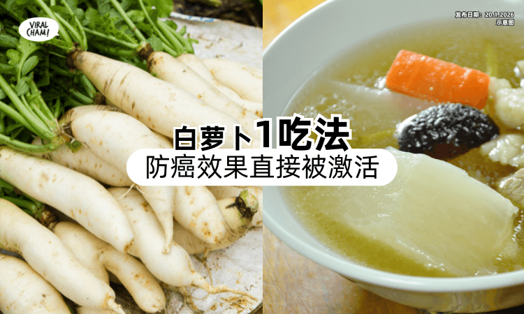 【别只会拿去炖汤❗】营养师推荐白萝卜「1吃法⚡」防癌效果直接被激活！　