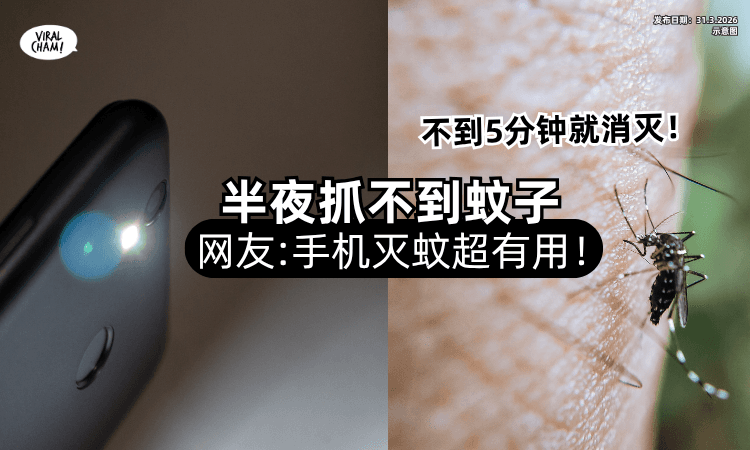 【不到5分钟全消灭❗】大半夜抓不到蚊子⚡网友教「手机灭蚊」只需3步骤！