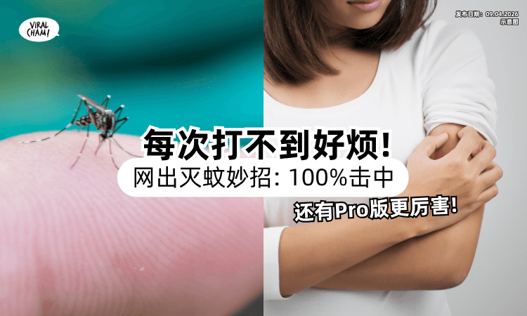 【每次都拍不中蚊子❗】网揭「打中率100%」超绝妙招⚡ 神人再曝“Pro版”招数：天花板也打到！