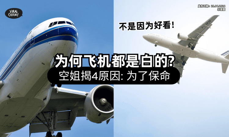 【没想过的原因❗】全世界飞机几乎都是「白色机身⚡」前空姐揭4大真相：可以保命！