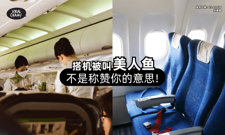 【不是称赞你❗】搭飞机被叫「美人鱼」背后含义曝光⚡
