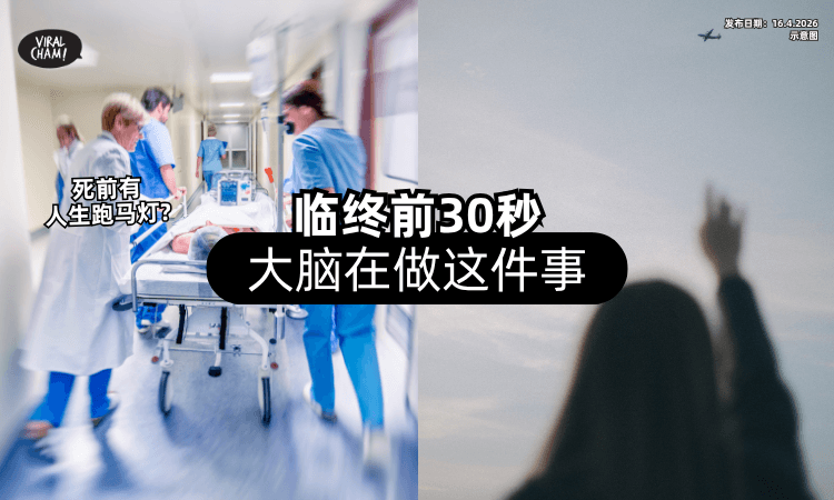 【死前有人生跑马灯❓】科学家给出答案「临终前30秒⚡」大脑在做这件事！