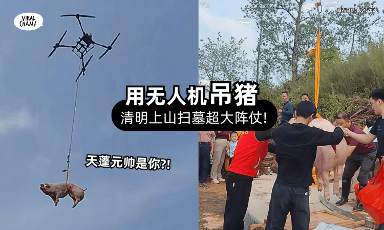 【祖宗,外卖到了❗】广东人扫墓「用无人机吊猪上山⚡」排场超大引关注!
