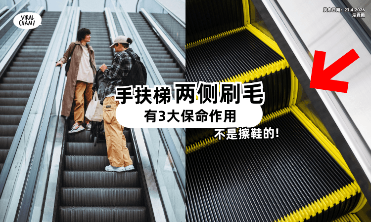 【不是拿来擦鞋的❗】手扶梯「两侧的刷毛」有3大作用⚡ 专家: 可保命!
