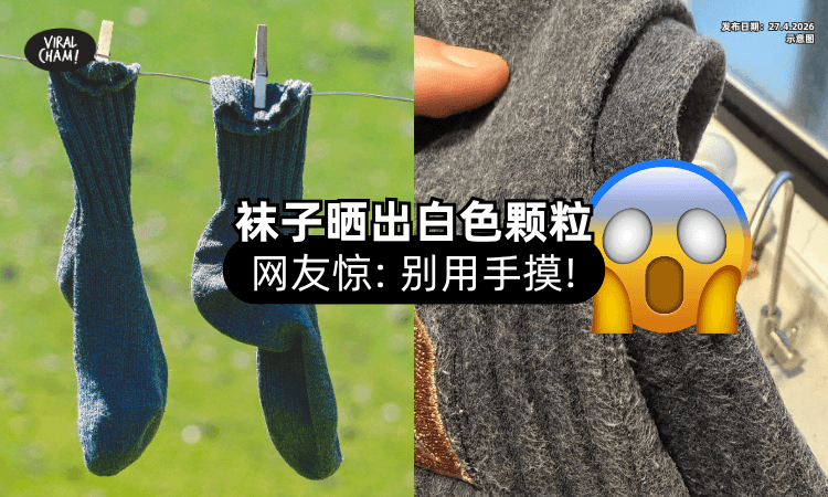 【别用手乱摸❗】袜子晒阳台7天⚡ 收的时候惊见「14个白色颗粒」网友一看头皮发麻！