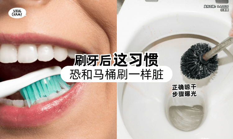【以为很干净❗】刷牙后这习惯恐变「马桶刷⚡」医生教正确晾干4步骤！