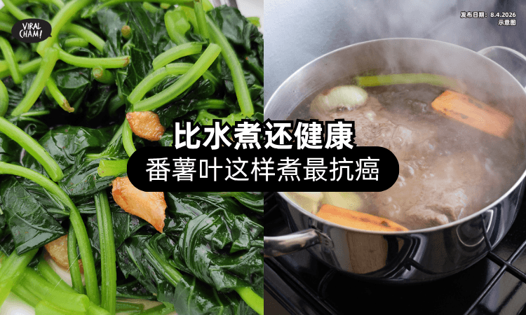 【很多人都搞错了❗】番薯叶「这样煮最抗癌⚡」比水煮还更加有营养！