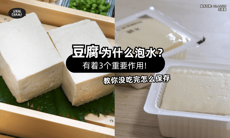 【豆腐为什么泡在水里❓】有着重要「3作用⚡」厨师加码分享“没吃完”保存法