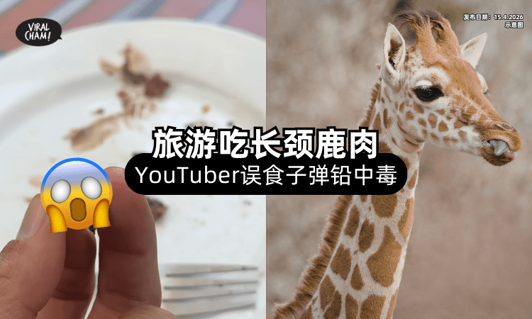 【旅行吃长颈鹿肉❗】YouTuber误吞「子弹头⚡」四肢麻痹+血铅浓度狂飙！