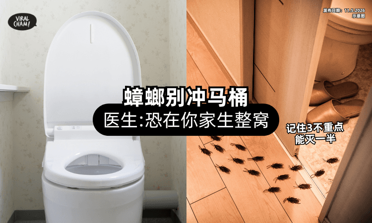 【蟑螂别冲马桶❗】医生警告恐「在你家生整窝⚡」记住“3不”重点秒灭一半！