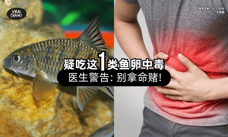 【没有特效药❗】男子吃「这1类鱼卵」腹痛如绞中毒⚡ 医生警告：别拿命赌！
