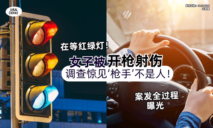 【案发过程曝光❗】女子等红绿灯「被开枪射伤⚡」调查发现“枪手”竟不是人！