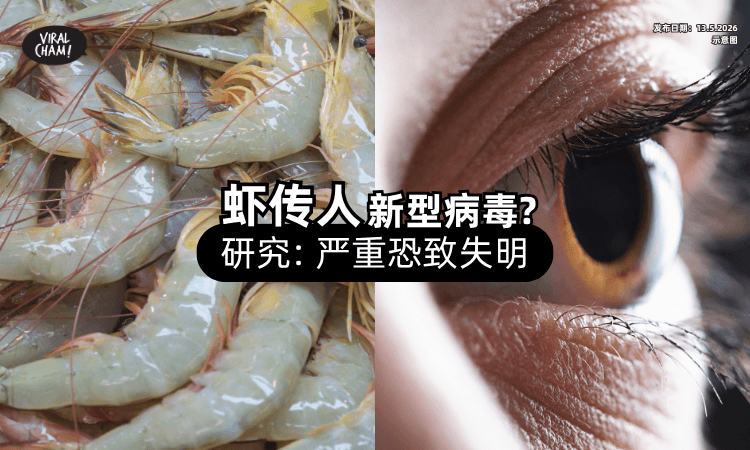 【处理虾要小心❗】新型病毒疑会「跨物种传播⚡」严重恐致失明！