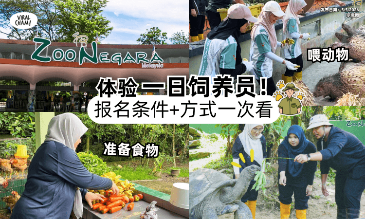 【超有意义❗】Zoo Negara还能体验当「一日饲养员✨」报名条件+方法一次看！