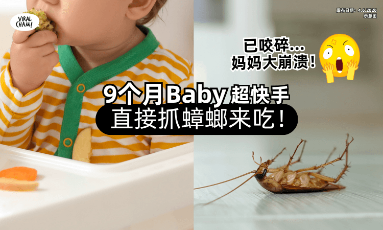 【直接拿来咬❗】9个月Baby「抓蟑螂吃⚡」妈妈急阻止只挖出“一条腿”超崩溃！