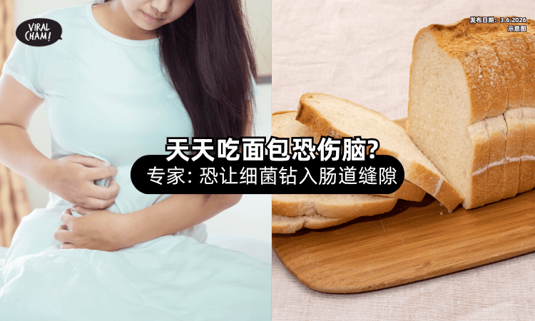【爱吃面包注意❗】专家揭「1物质⚡」恐让细菌毒素钻入肠道缝隙！