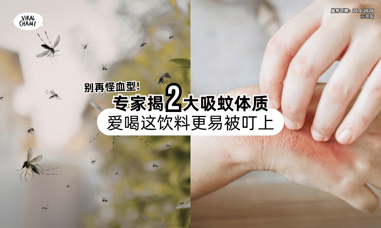 【别再怪血型了❗】专家揭2大吸蚊体质⚡「爱喝这饮料」的人更易被叮上！