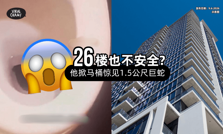 【住在26楼❗】男子掀开马桶惊见「1.5公尺巨蛇⚡」网友吓傻：怎么爬上来的？
