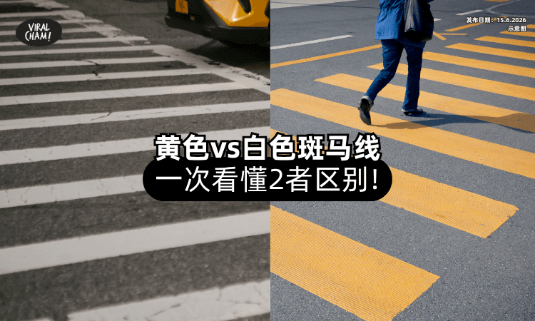 【不只是颜色不同⚠️】黄色斑马线vs白色斑马线「有什么区别❓」JPJ这样说！