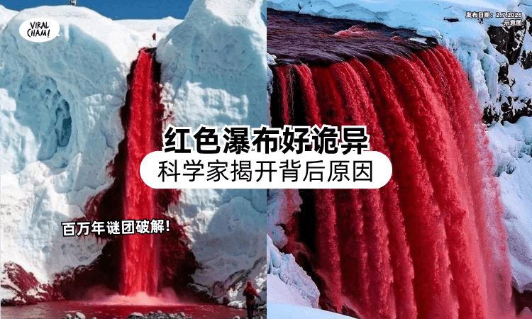 【看起来超诡异❗】南极红瀑布百万年谜团破解⚡ 科学家揭开「背后原因」