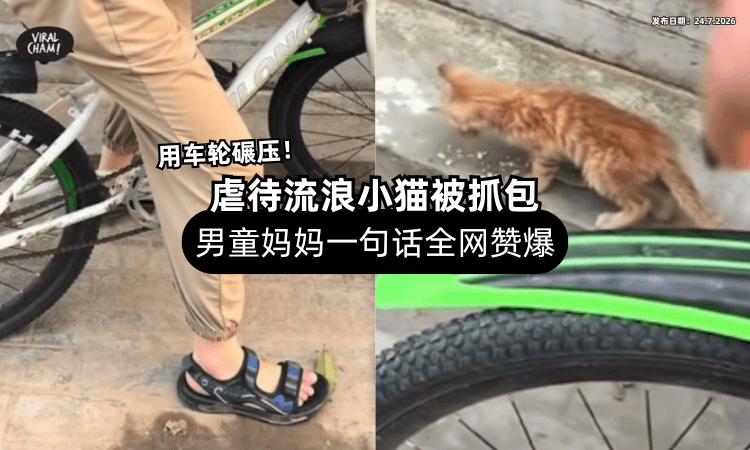 【故意用车轮压❗】男童虐待流浪小猫被抓包⚡「妈妈一句话」全网赞爆！