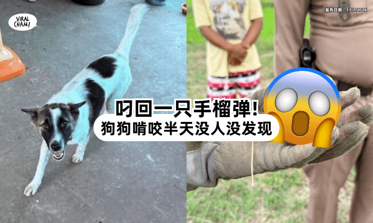 【还能炸出大坑❗】狗狗把手榴弹「当骨头狂啃⚡」全家陪了大半天才发现！