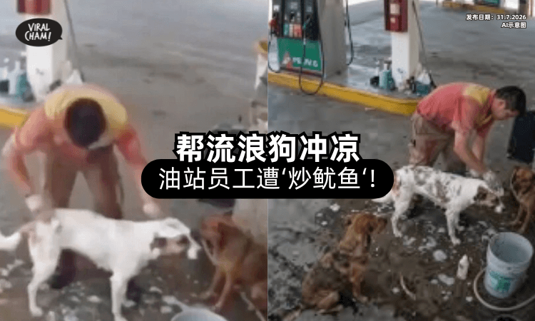 【帮流浪狗冲凉❗】加油站员工遭老板「炒鱿鱼⚡」最后结局超反转！