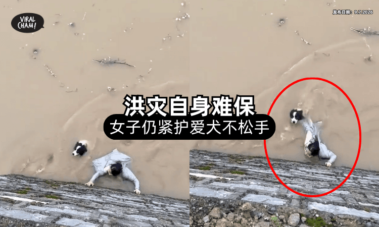 【广西洪灾】女子「自身难保」仍拼命护住爱犬⚡ 影片疯传看哭网友❗