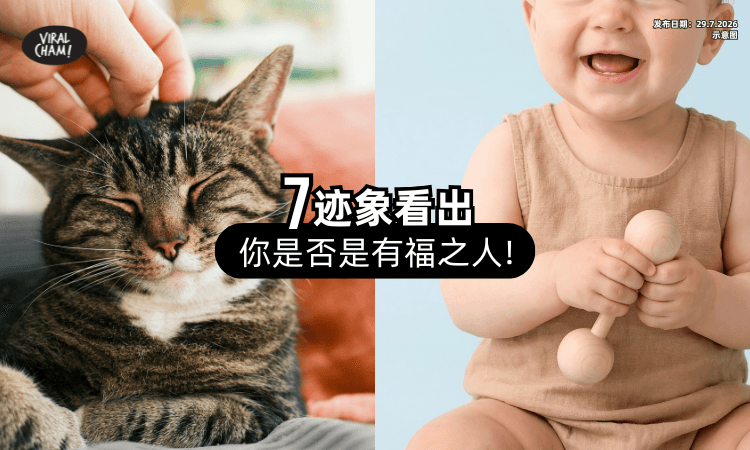 【自带好运✨】有福之人的「7大迹象❤️」孩子、猫狗都爱亲近你！