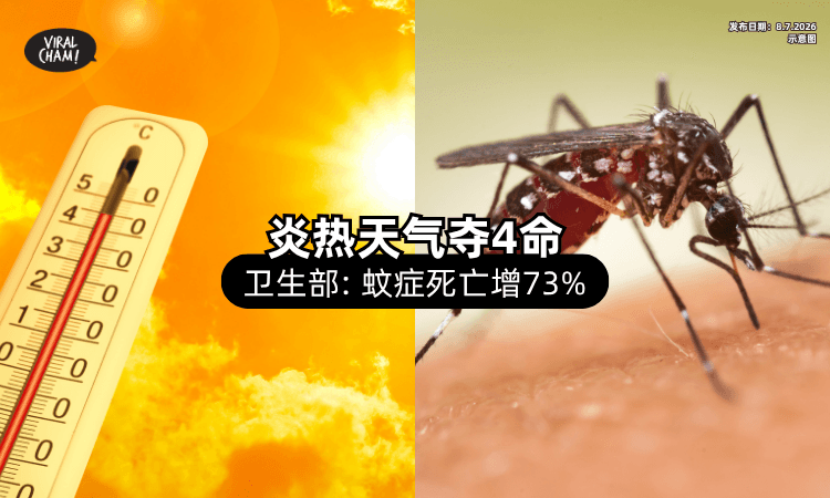 【炎热天气敲警钟❗】卫生部：高温「已夺4命⚡」蚊症死亡风险飙至73%！