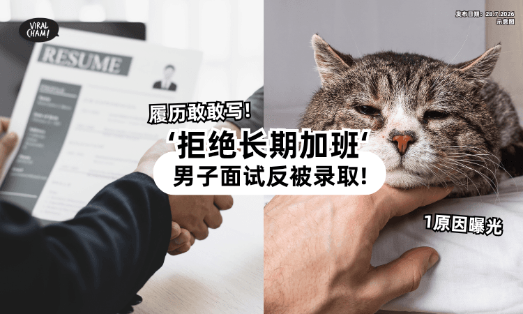 【Resume写明“不加班”❗】面试坦白「反成功录取⚡」成为公司最满意员工!
