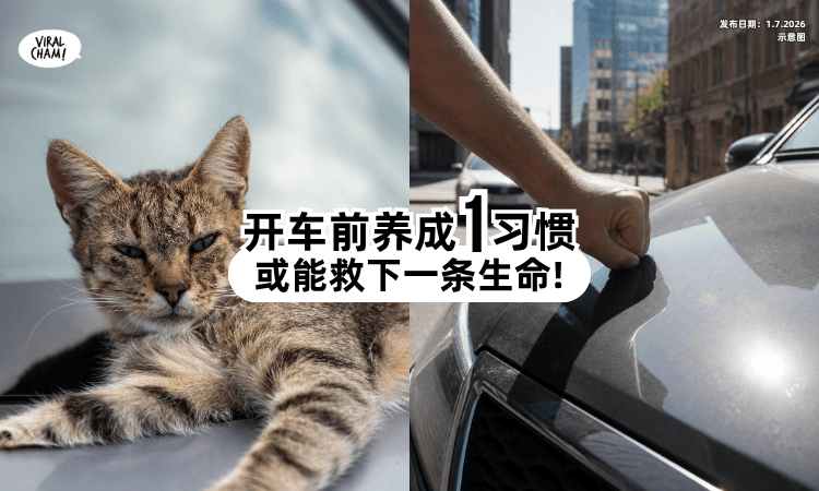 【先别急着出发❌】开车前「1习惯动作⚡」或能救下一条生命！