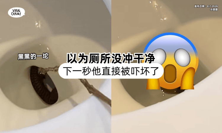 【以为没冲干净❗】上完厕所看到「黑黑的一坨⚡」下一秒他被吓得冒冷汗！