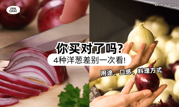 【你买对了吗❓】4种洋葱「用途+味道」大不同⚡ PHM：选错口感差很多！